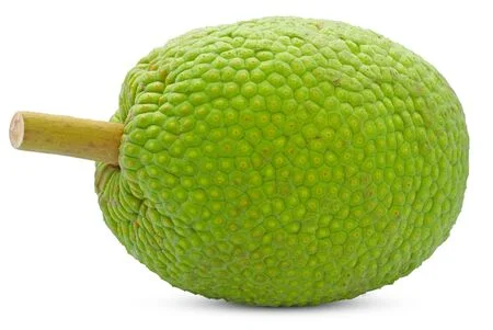 Breadfruit